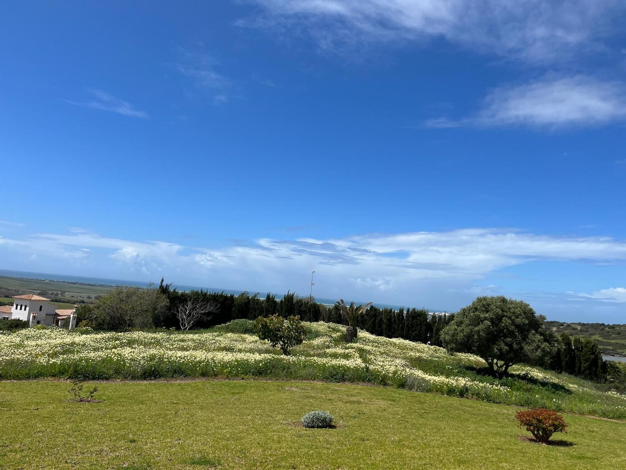 Finca La Vina Vejer de la Frontera Kültér fotó