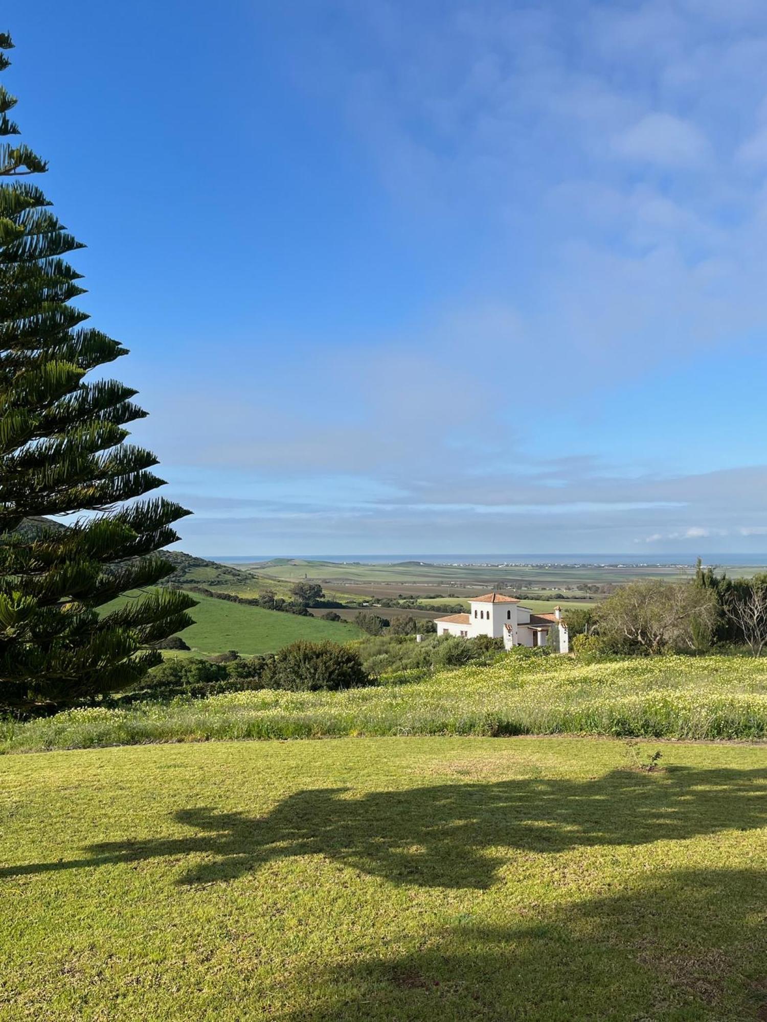 Finca La Vina Villa Vejer de la Frontera Kültér fotó