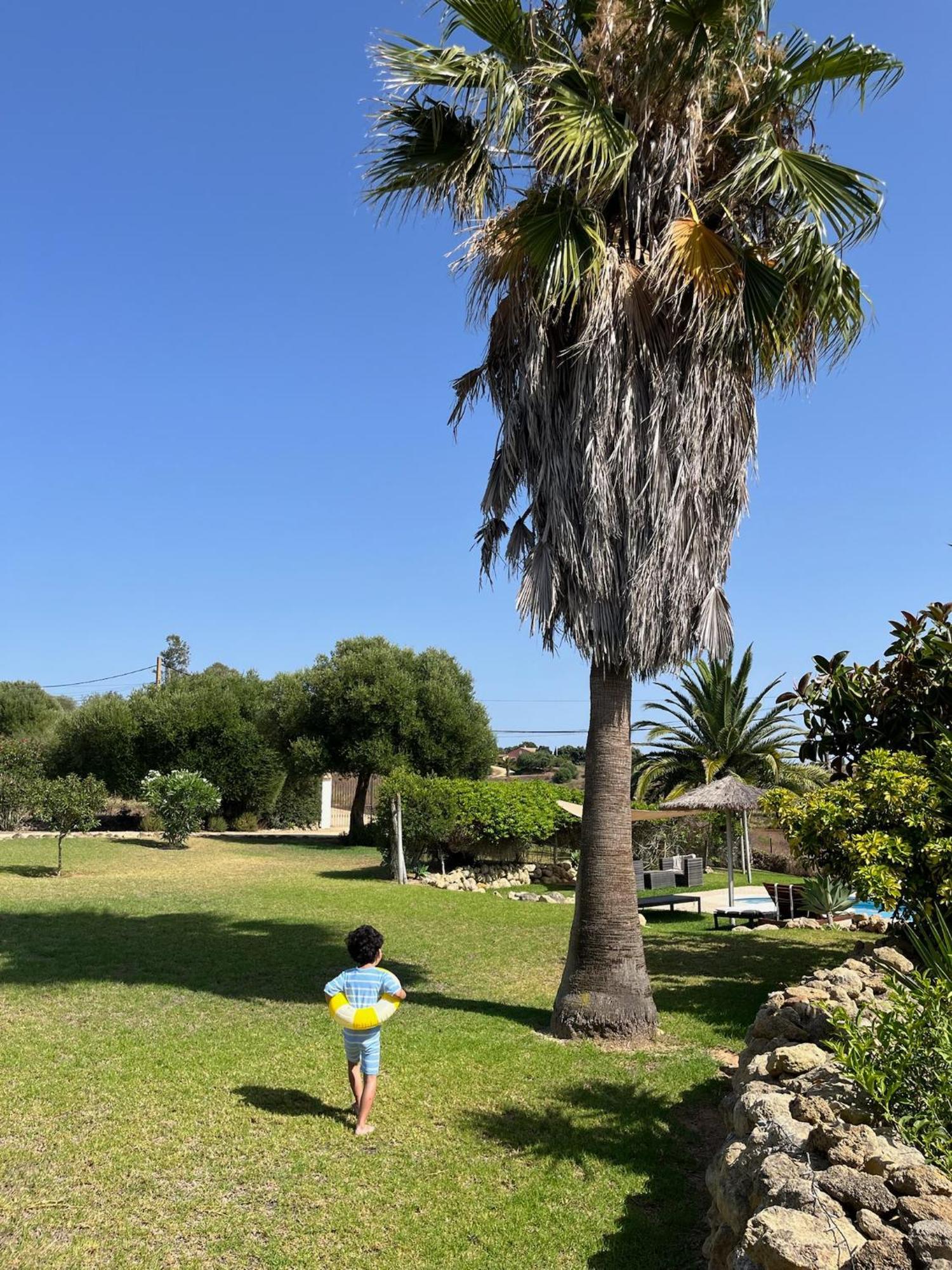 Finca La Vina Vejer de la Frontera Kültér fotó