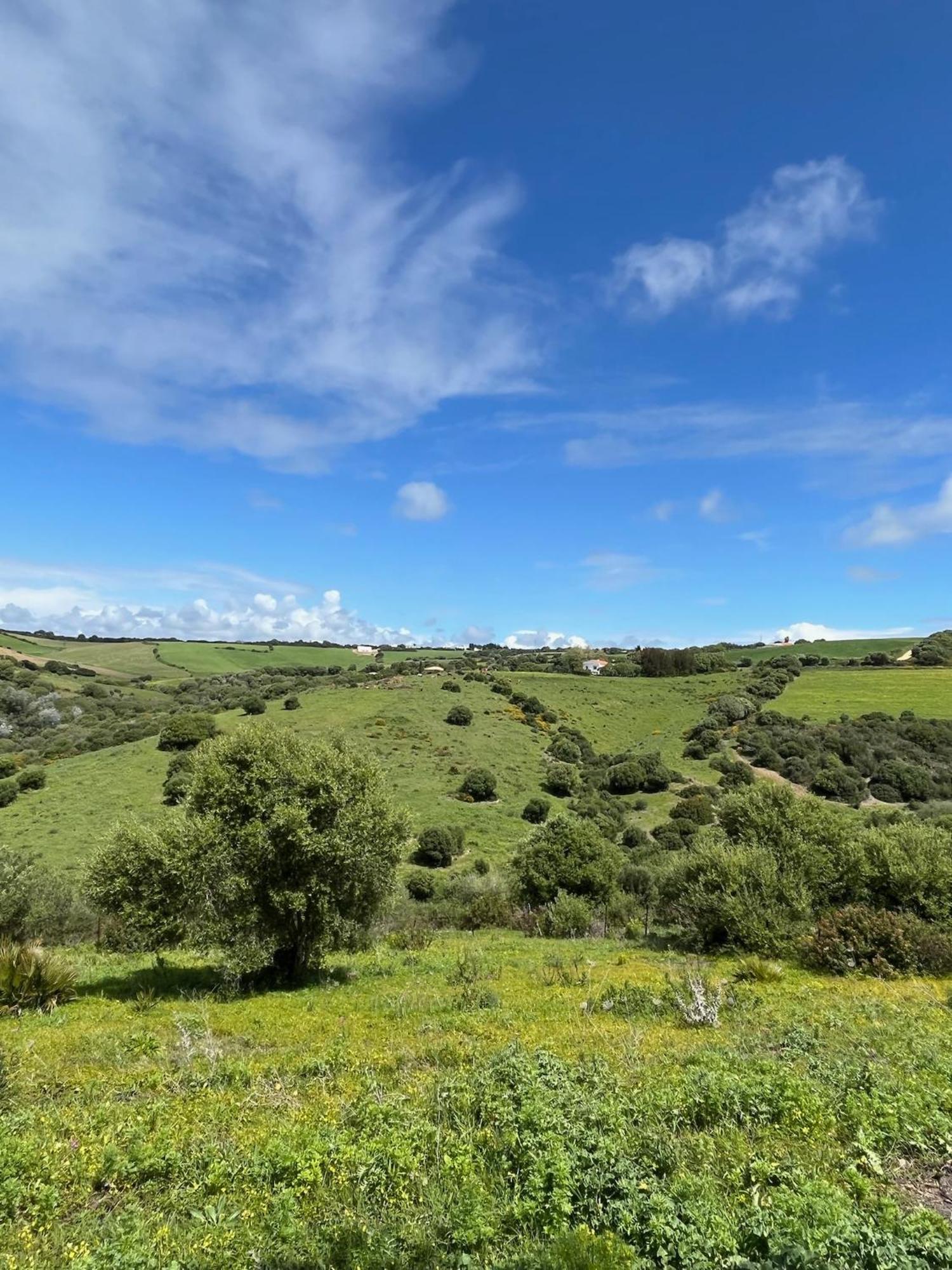 Finca La Vina Villa Vejer de la Frontera Kültér fotó