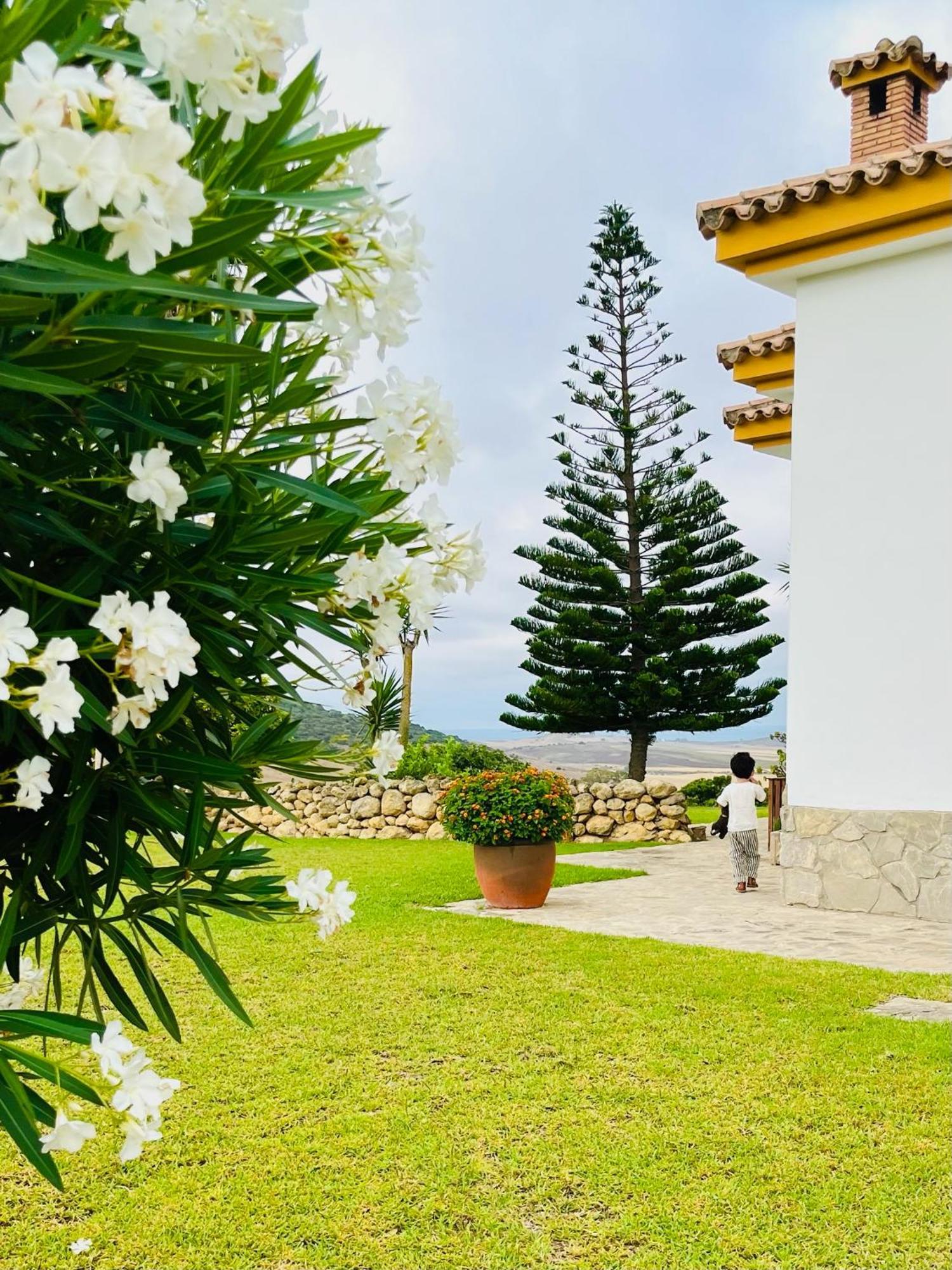 Finca La Vina Villa Vejer de la Frontera Kültér fotó