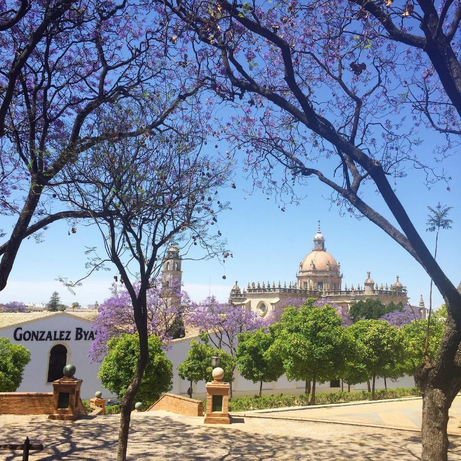 Finca La Vina Vejer de la Frontera Kültér fotó