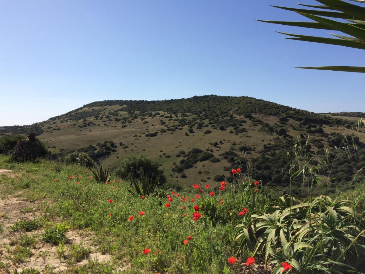 Finca La Vina Villa Vejer de la Frontera Kültér fotó